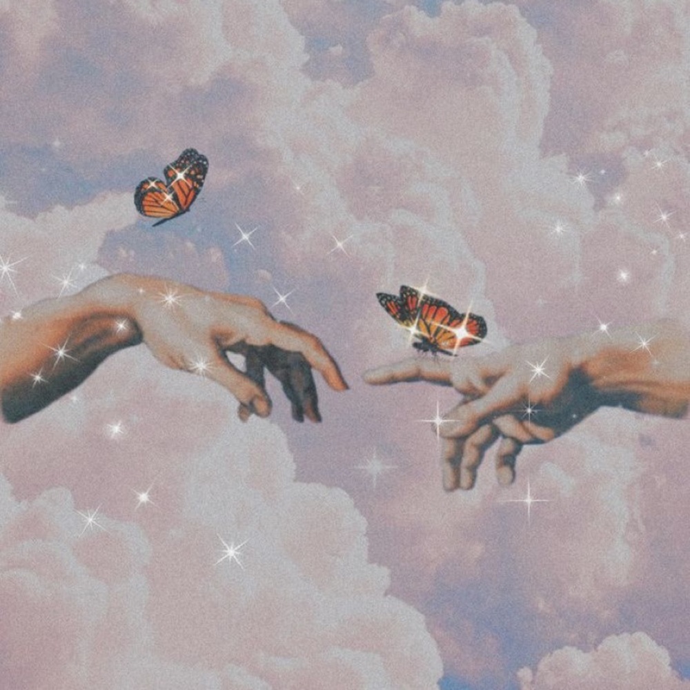 Meet your Posher, Niya